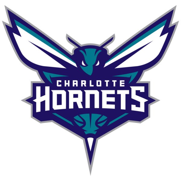 Charlotte Hornets Primary Basketball Logo in JPG Format - Image 2