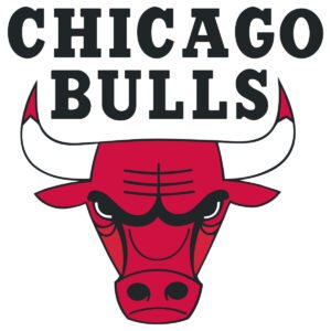 Chicago Bulls Logo